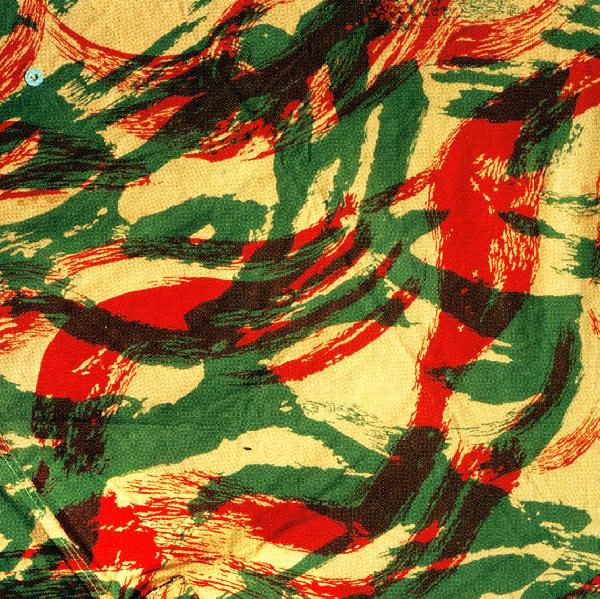 001_Camouflage.jpg